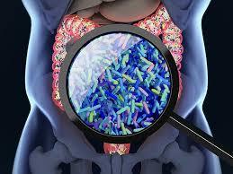 Dietary Principles  that Benefit the Gut  Microbiome.  GI-Part 1