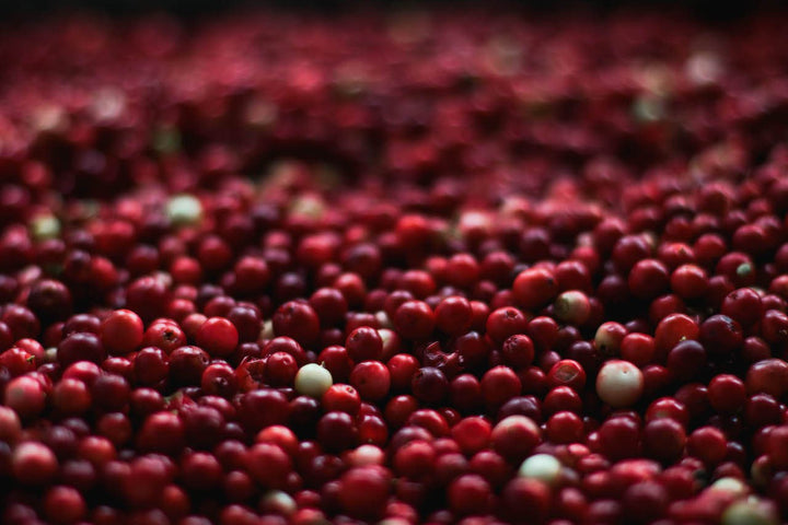 Health benefits hidden in your holiday cranberries!