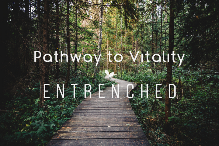 Pathway to Vitality - Entrenched
