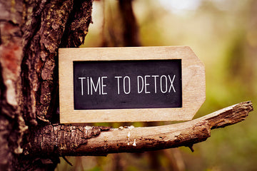 Guided - Detoxification Program